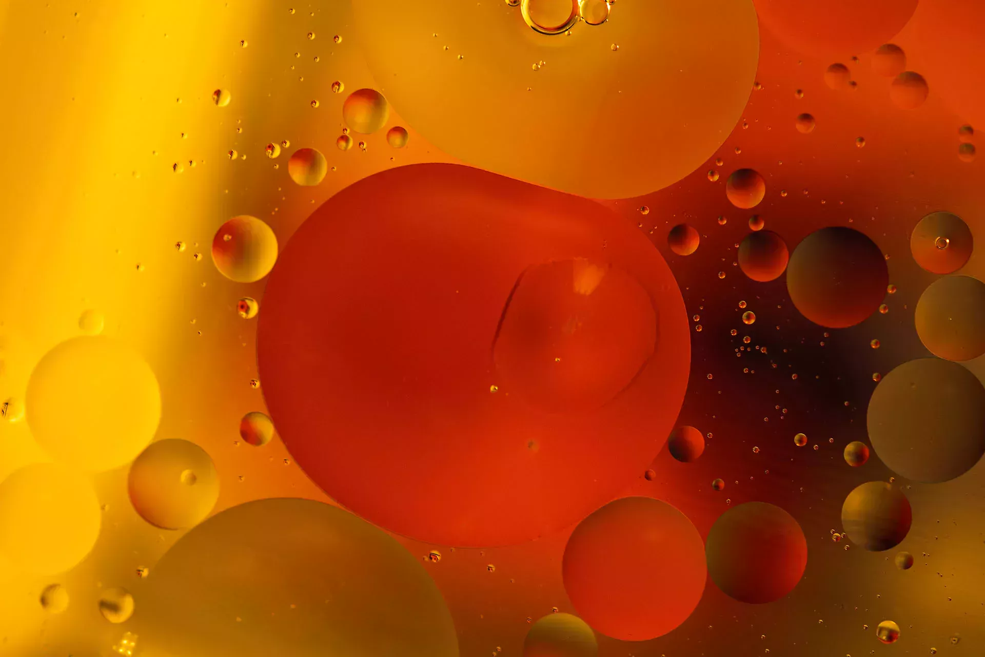 Öppen motorhuv på en bil